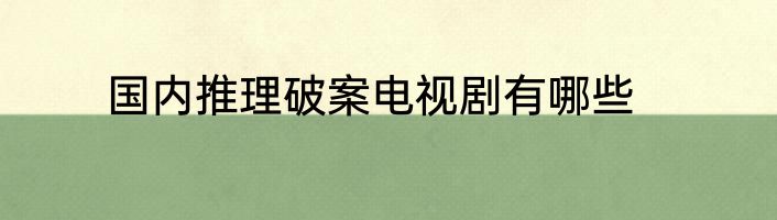 国内推理破案电视剧有哪些