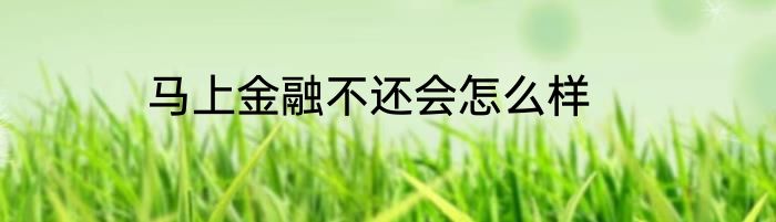 马上金融不还会怎么样