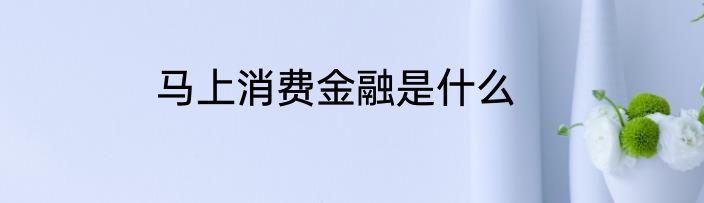 马上消费金融是什么