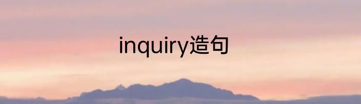 inquiry造句