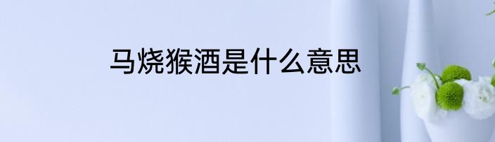 马烧猴酒是什么意思
