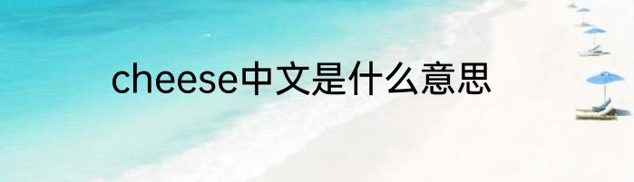 cheese中文是什么意思