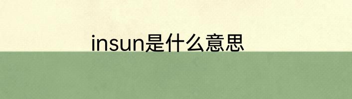 insun是什么意思