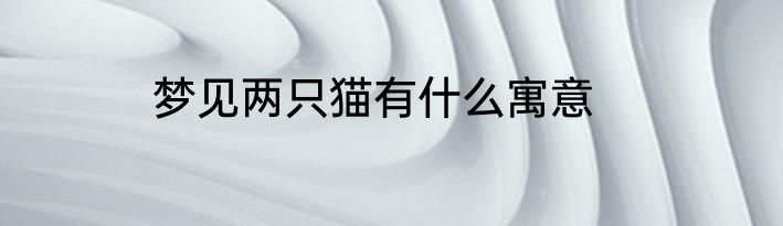 梦见两只猫有什么寓意