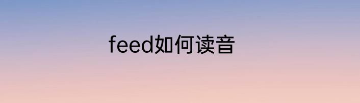 feed如何读音