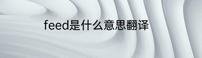 feed是什么意思翻译