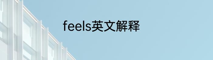 feels英文解释