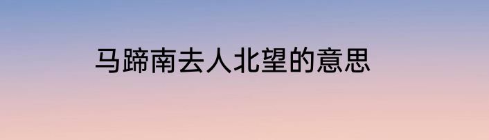 马蹄南去人北望的意思