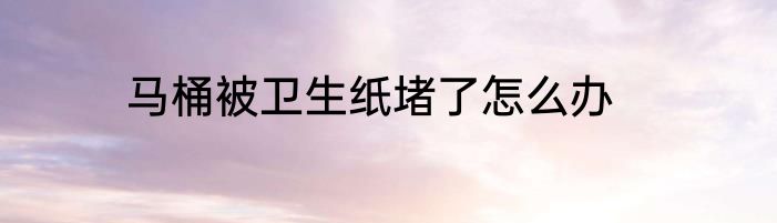 马桶被卫生纸堵了怎么办