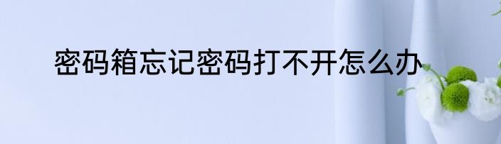 密码箱忘记密码打不开怎么办