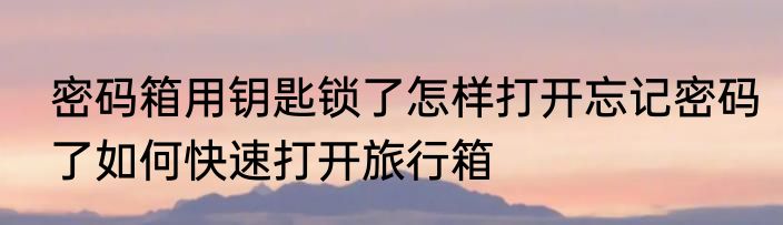 密码箱用钥匙锁了怎样打开忘记密码了如何快速打开旅行箱