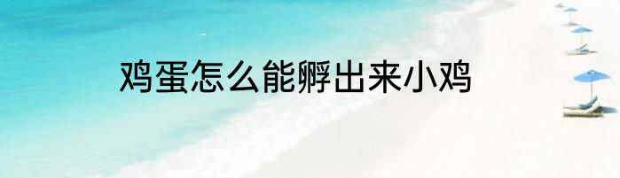 鸡蛋怎么能孵出来小鸡