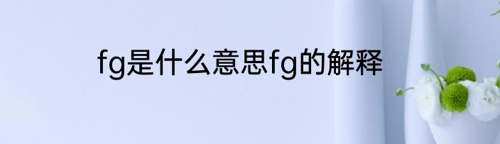 fg是什么意思fg的解释