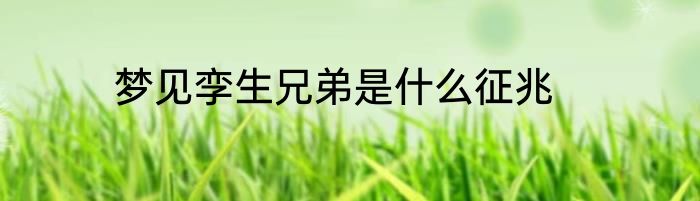 梦见孪生兄弟是什么征兆
