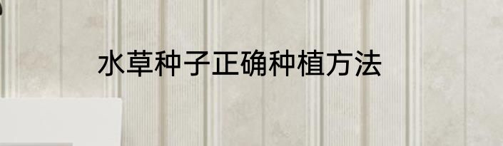 水草种子正确种植方法