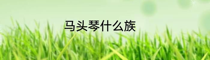 马头琴什么族