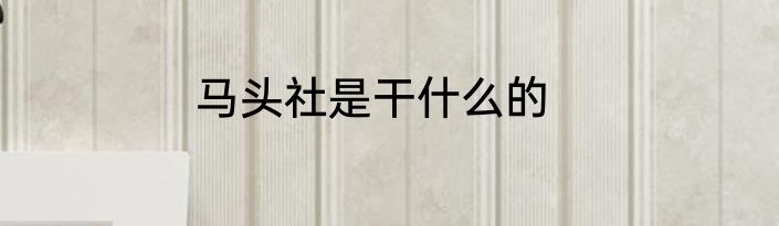 马头社是干什么的