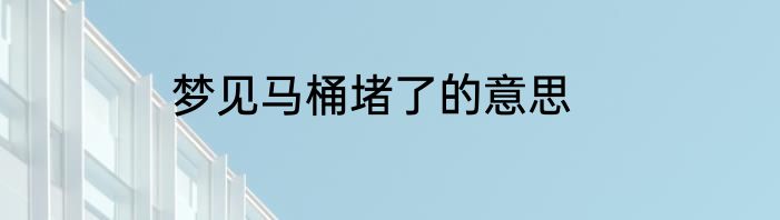 梦见马桶堵了的意思