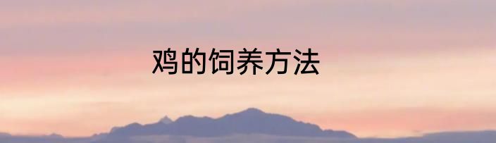 鸡的饲养方法