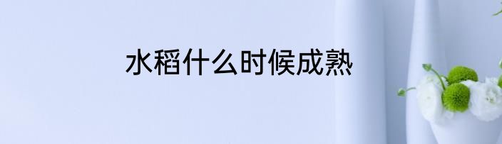 水稻什么时候成熟