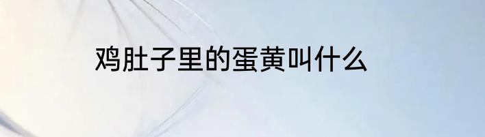 鸡肚子里的蛋黄叫什么