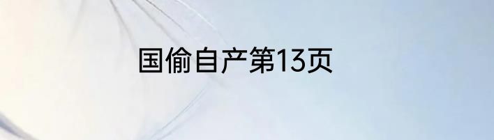 国偷自产第13页