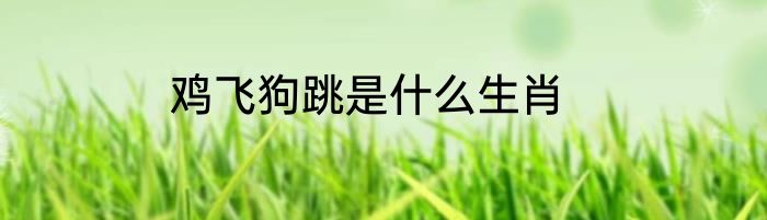 鸡飞狗跳是什么生肖