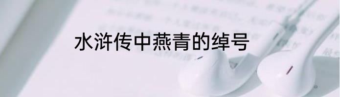 水浒传中燕青的绰号