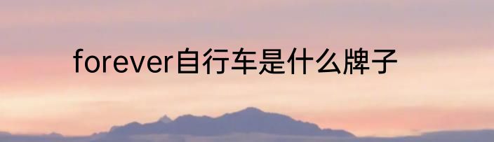 forever自行车是什么牌子
