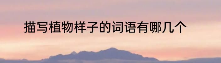 描写植物样子的词语有哪几个