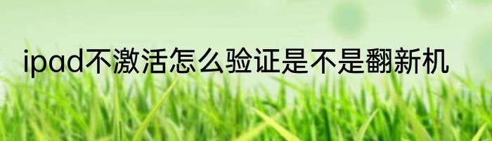ipad不激活怎么验证是不是翻新机