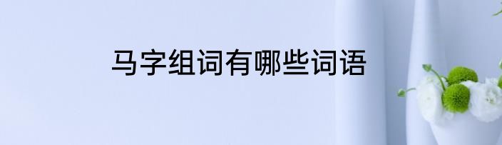 马字组词有哪些词语