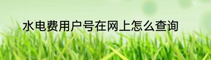 水电费用户号在网上怎么查询
