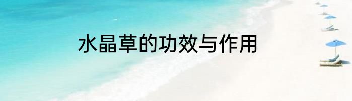 水晶草的功效与作用