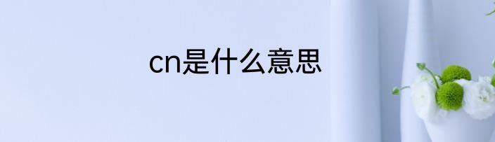 cn是什么意思