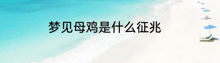梦见母鸡是什么征兆