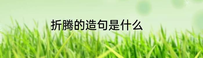 折腾的造句是什么