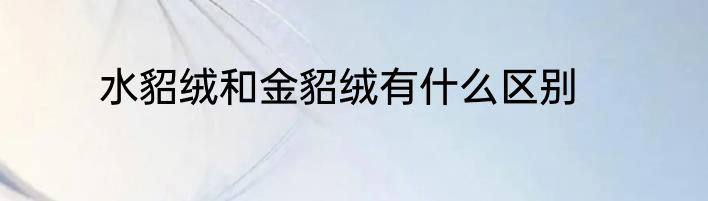 水貂绒和金貂绒有什么区别