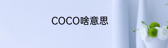 COCO啥意思