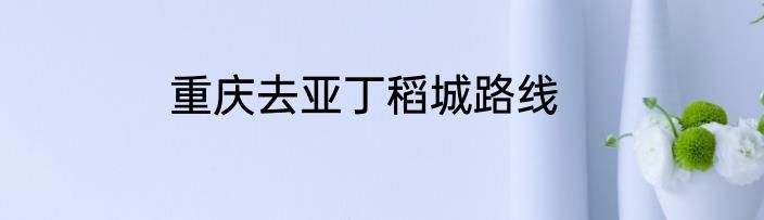 重庆去亚丁稻城路线