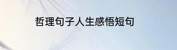 哲理句子人生感悟短句