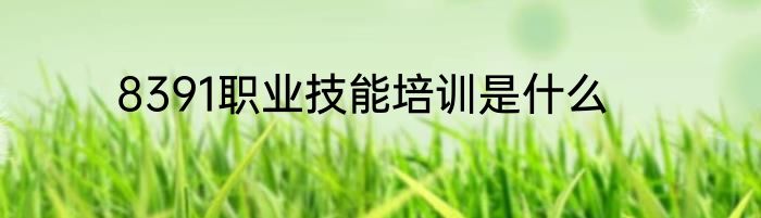 8391职业技能培训是什么