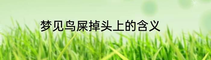 梦见鸟屎掉头上的含义