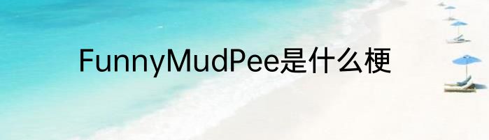 FunnyMudPee是什么梗