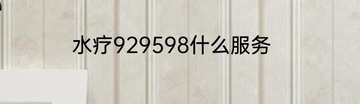 水疗929598什么服务