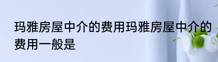 玛雅房屋中介的费用玛雅房屋中介的费用一般是
