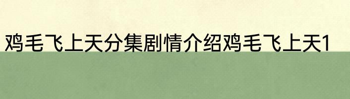 鸡毛飞上天分集剧情介绍鸡毛飞上天1