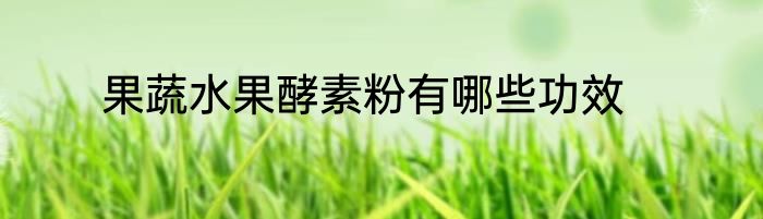 果蔬水果酵素粉有哪些功效