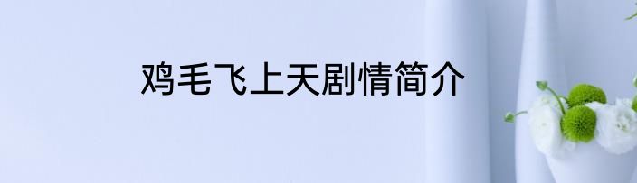 鸡毛飞上天剧情简介