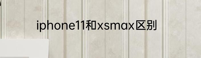 iphone11和xsmax区别